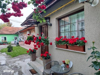 Refugiu urban cu personalitate - Casa cu mansarda si crama amenajata -