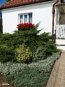 Campenita, Ceuasu De Campie, Mures