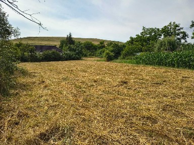 Casă - Bărcănești, județul Olt