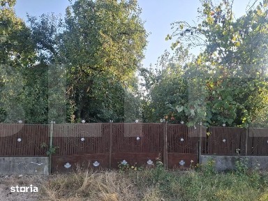 Urgent! Casa cu teren 5.038 mp, Plesoiu-Arcesti, strada principala