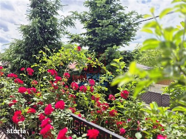 Tatarasi Nord, Iasi