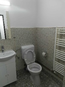 Central, dau in chirie apartament cu o camera