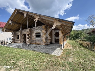 PROPRIETATE PREMIUM | TRANSFĂGĂRĂȘAN | ACCES DIRECT LA RAUL ARGEȘ