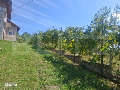 Casa 206 mp la gri, teren 1.832 mp, zona Glodeni Deal