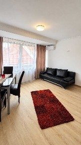 Timis, Timisoara