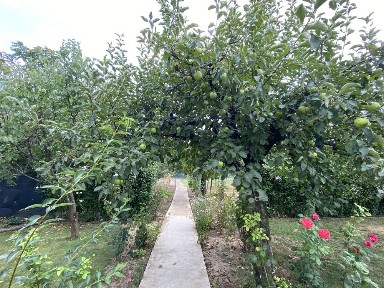 Fantanele, Lăcrămioarei 108