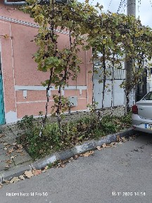 Preț fix 41000 euro Super ocazie ! Casa de vânzare zona ultracentrala