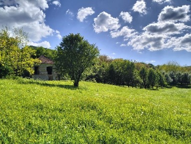 Oportunitate!casa zona superba,Mada in Muntii Apuseni,10.000mp intravilan,acte in regula,fantana,curent,vedere spre Cheile Mazii, 20min de Geoagiu Bai