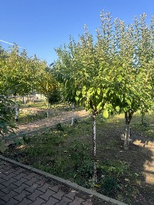 Prahova, Ploiesti