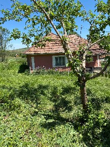 Casă de vânzare la țară + teren generos - zonă liniștită, aproape de natură - comuna Buza, jud. Cluj