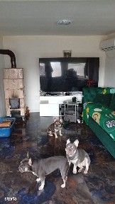 Casa de vanzare,110mp utili,sat Curmatura comuna Giurgita,renovata.