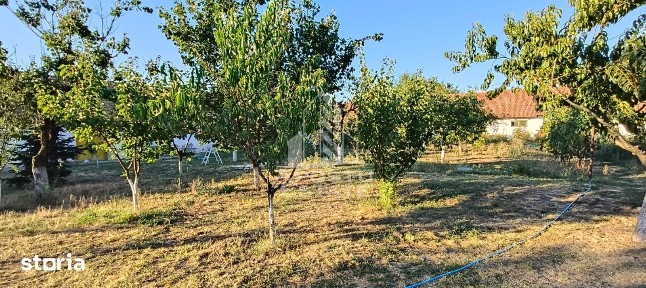 Casă individuală în Bucovăț cu 3250 mp