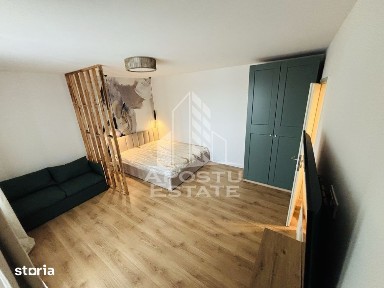 Apartament cu 1 camera de inchiriat pe Take Ionescu
