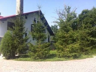 Casa de vacanta - vila Provita de Jos