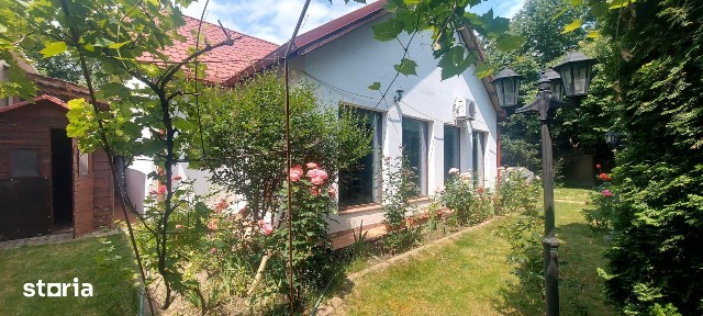 Centru, Bacau
