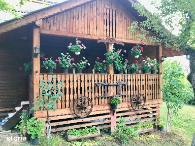 Casă de vacanță cu livadă și teren de 3.400 mp - Calea Dumbrăvii