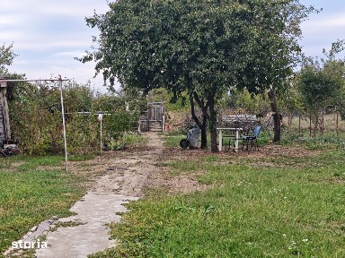 Casa Hintesti