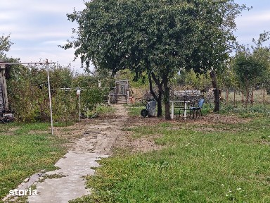 Casa Hintesti