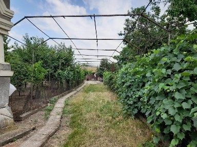Olt, Valea Soarelui