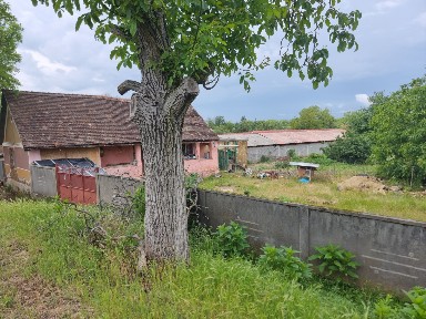 Arad, Ghioroc