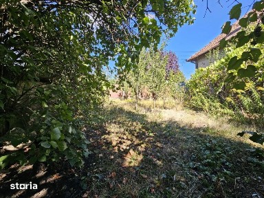 Teren cu casa renvabila | 1000mp | Dambul Rotund | Zona str. Coposu
