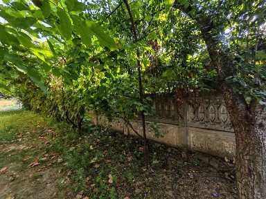 Vând casă și teren Osica de Sus