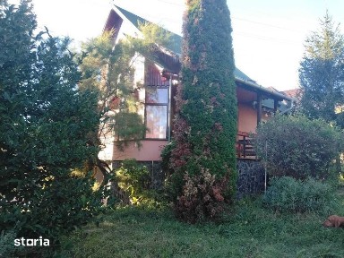 Casa familiala pe 25 de ari de teren