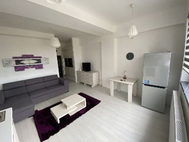 Apartament 1 camera Cubis Tatarasi