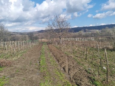 Casă de vânzare Comuna Crețeni, județul Vâlcea la 12 km de Dragasani