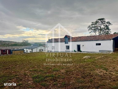 Casa + 2 hale, 2 camere + anexe, 1850mp, deschidere 35m - Vestem