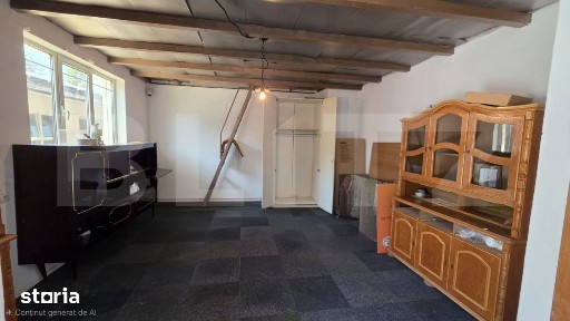 Spatiu industrial, 42 mp, zona Titulescu