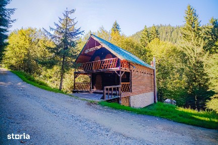 Cabană 12 locuri, Râușor Retezat, 600 m de pârtie, renovată 2022
