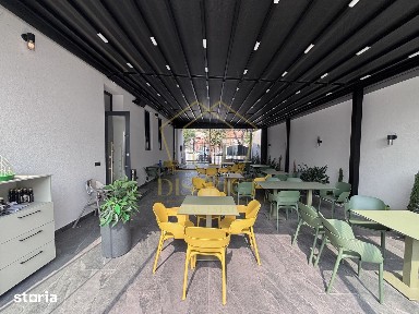 Badea Cartan, Timisoara, Timis