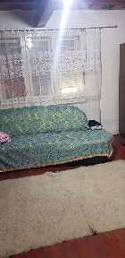 Vand Casa Traditionala cu padure de salcam zona Beius