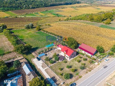 Gospodărie, casă nouă (2024), 170 mp, 6.300 mp intravilan, 0% comision