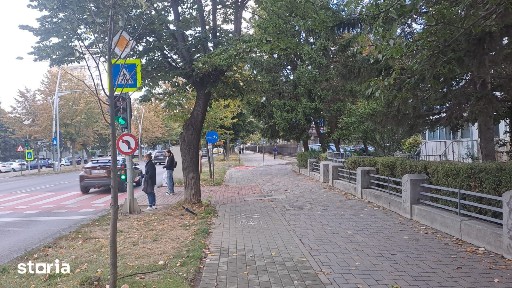 Cornisa, Bacau