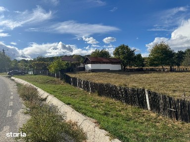 Proprietate cu Doua Case