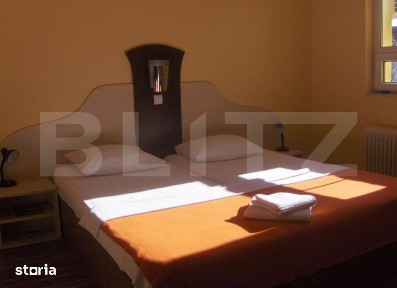 Pensiune 16 camere, 450 mp, zona Lugojului
