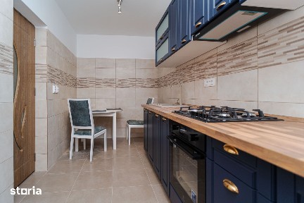 Apartament 2 camere NOU in tip vila - Bucsinescu