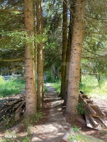 Cabana cu parau si brazi maturi, 1400mp, Valea Fericirii