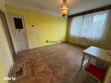 G. Bacovia, Bacau