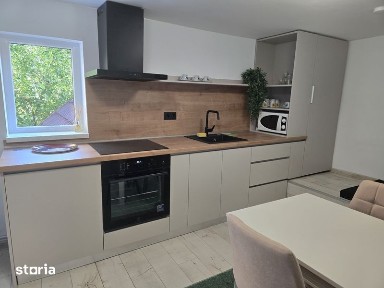 Hasdeu Apartament - proprietar