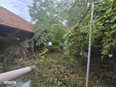 Breaza, Lisa, Brasov