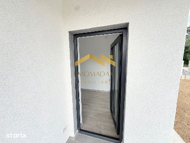 Sanmihaiu Roman, Timis