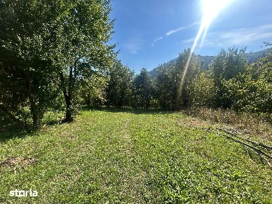 CASĂ DE VÂNZARE - NEGULEȘTI, PIATRA ȘOIMULUI, NEAMȚ