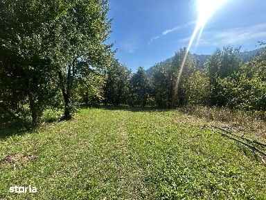 CASĂ DE VÂNZARE - NEGULEȘTI, PIATRA ȘOIMULUI, NEAMȚ