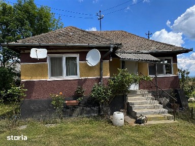 Casa de vanzare l Dangau Mare l 3135 MP Teren