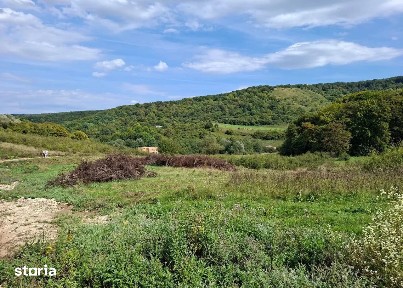 Teren intravilan 1200mp, Valea Garboului, Floresti