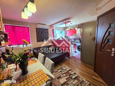 Apartament la mansarda Vasile Aaron
