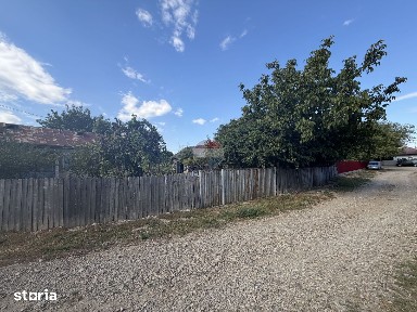 Casă in Tifesti cu teren agricol si padure